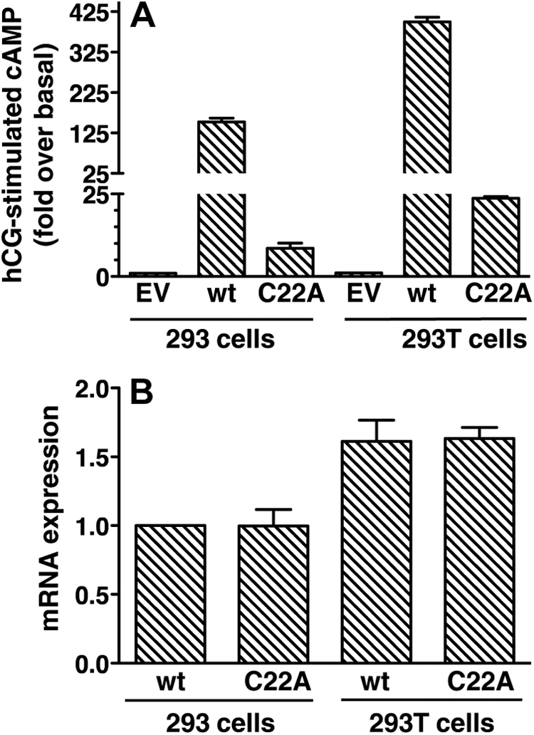 Fig. 10.