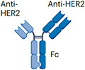 graphic file with name nihms-1998788-t0017.jpg