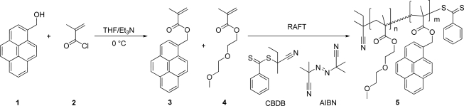 Scheme 1.