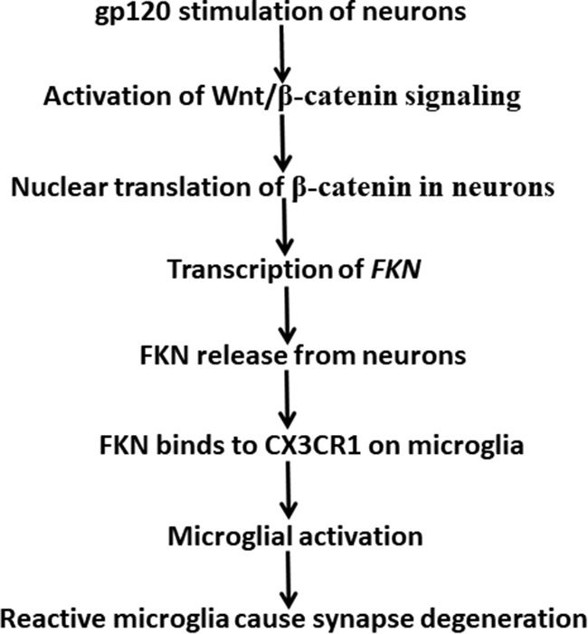 Figure 9.