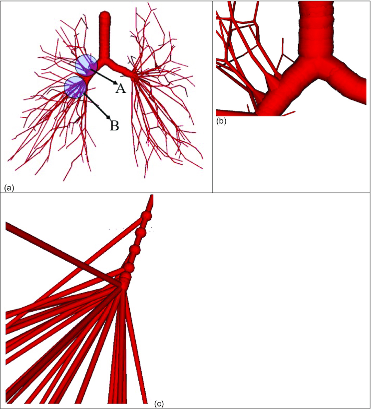 Figure 4: