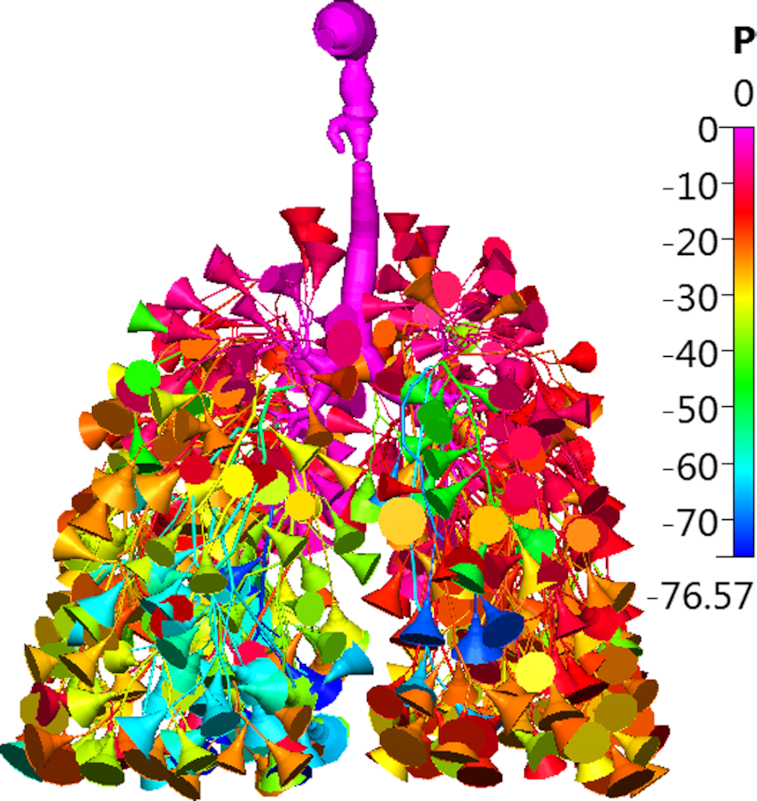 Figure 13: