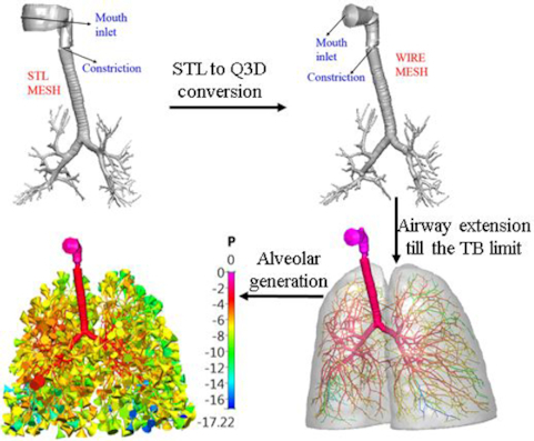 Graphical Abstract