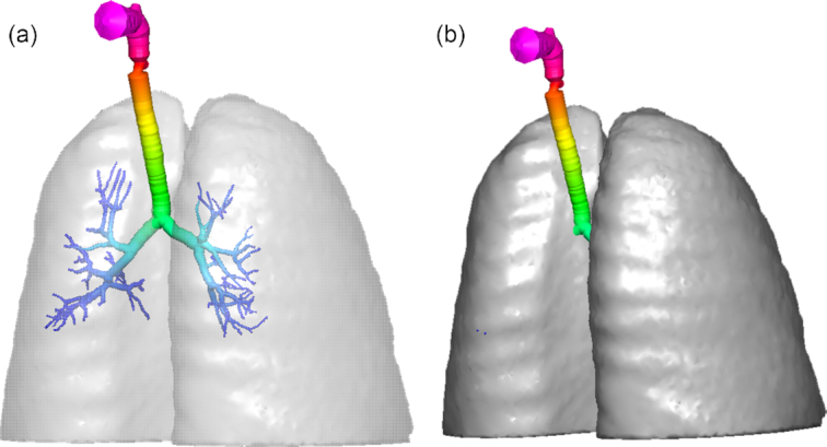 Figure 2: