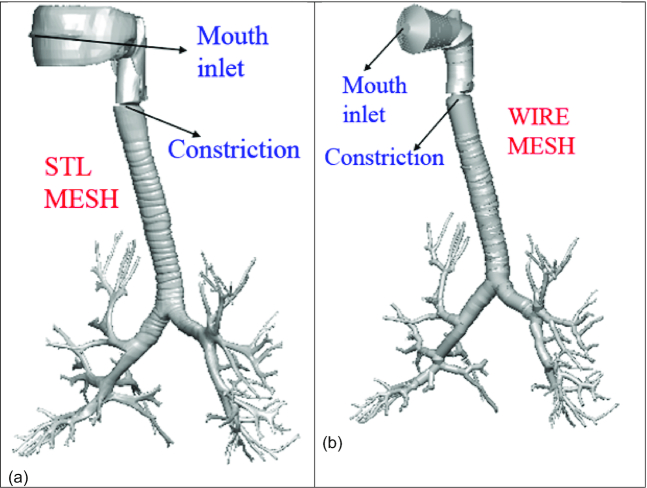 Figure 1: