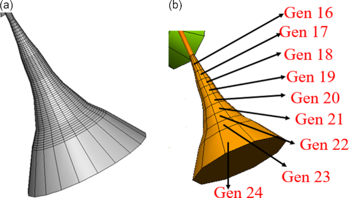 Figure 6: