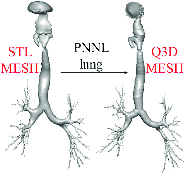 Figure 10: