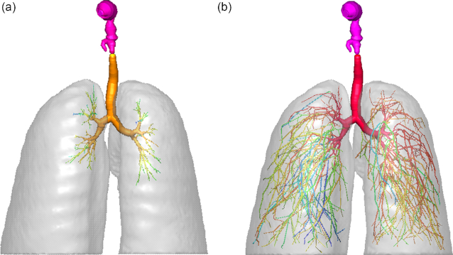 Figure 12: