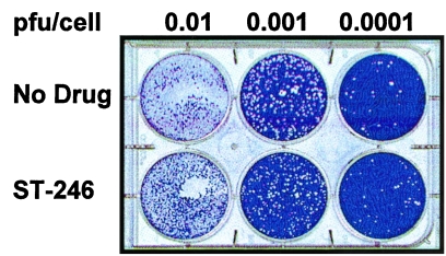 FIG. 5.