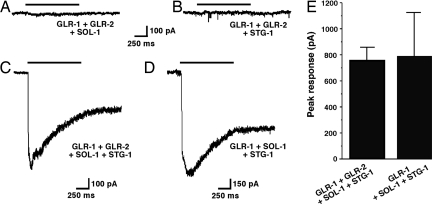 Fig. 3.