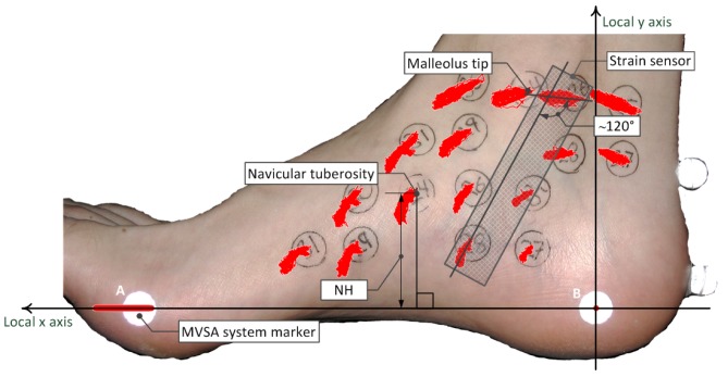 Figure 2.