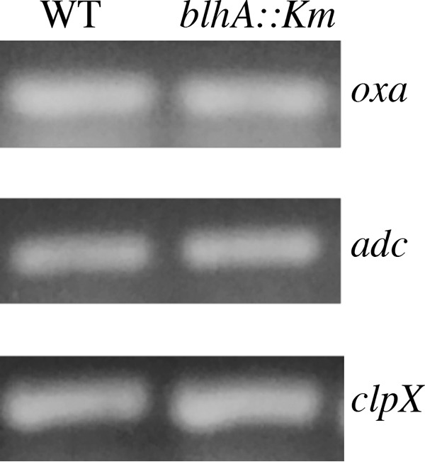 FIG 2