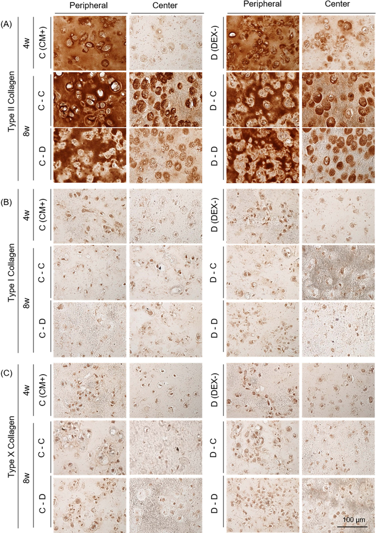 Figure 3: