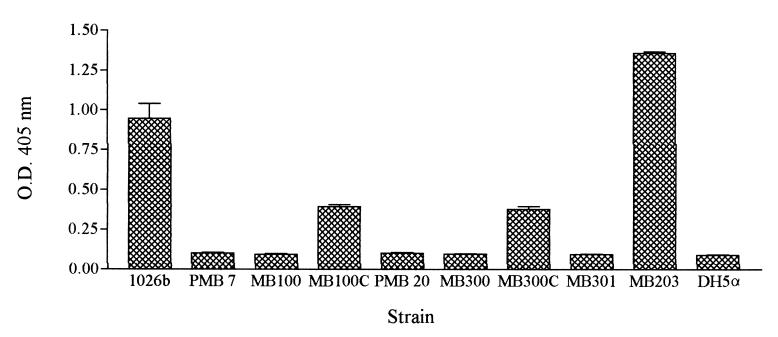 FIG. 4