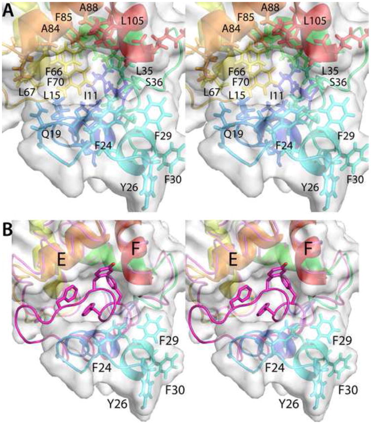 Fig. 6