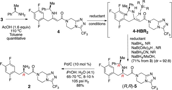 Scheme 2