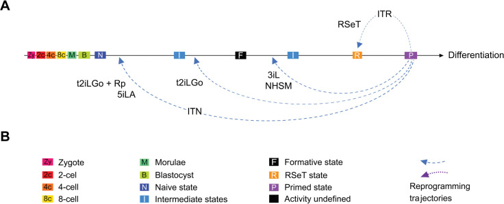 Figure 7.