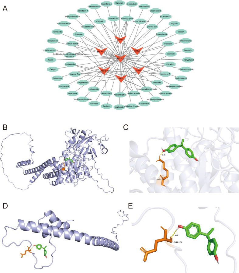 Figure 11