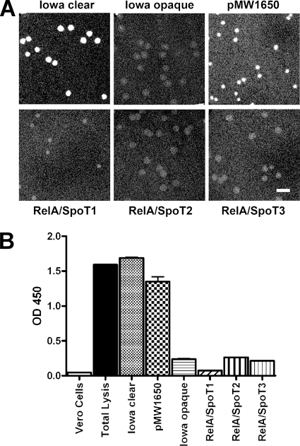 FIG. 4.