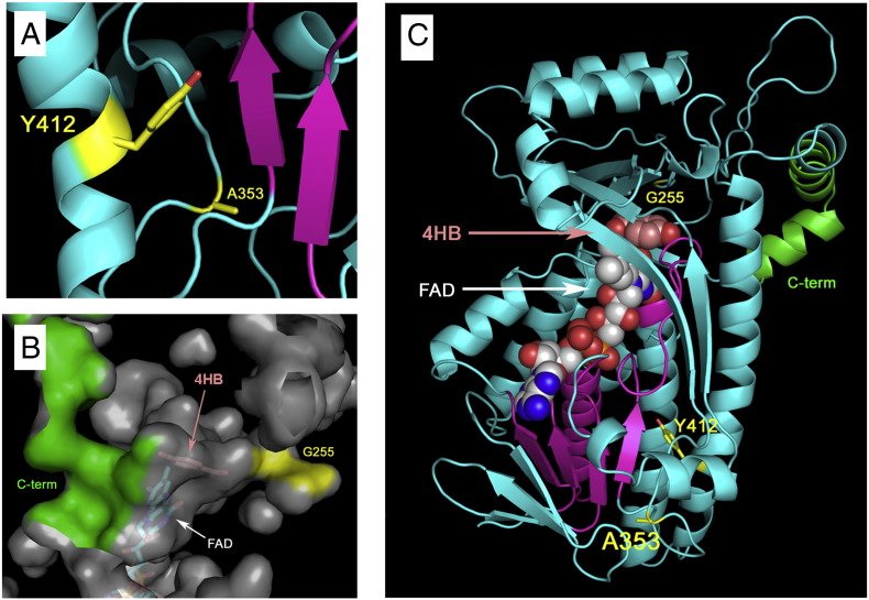 Fig. 4