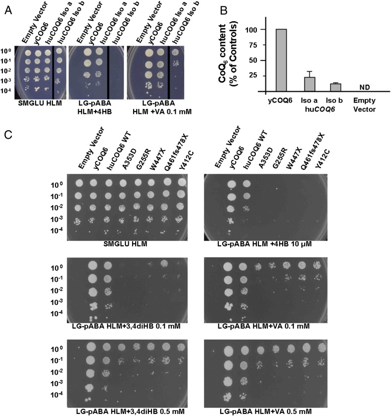 Fig. 3