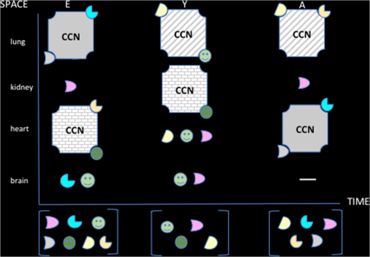 Fig. 10