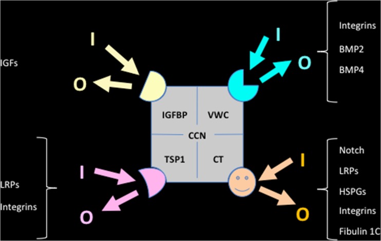 Fig. 7