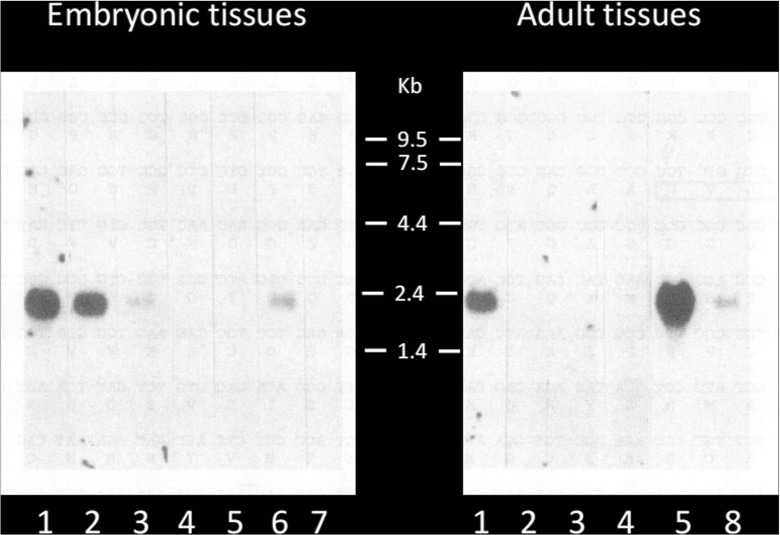 Fig. 9