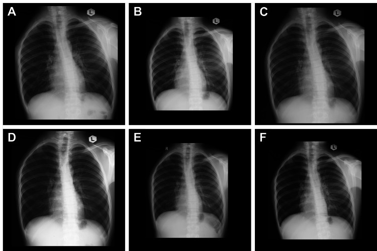 Figure 5