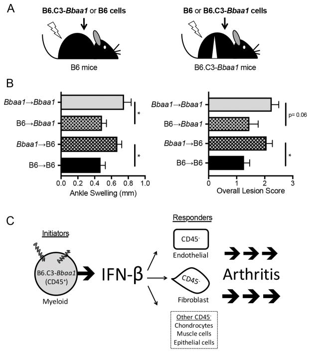 FIGURE 3