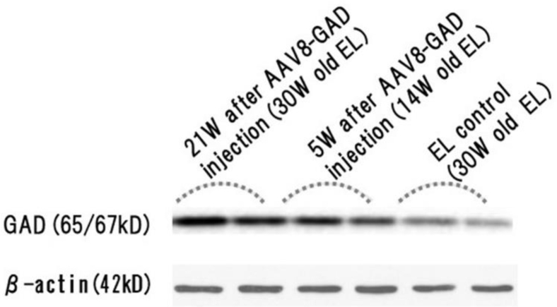 Figure 3