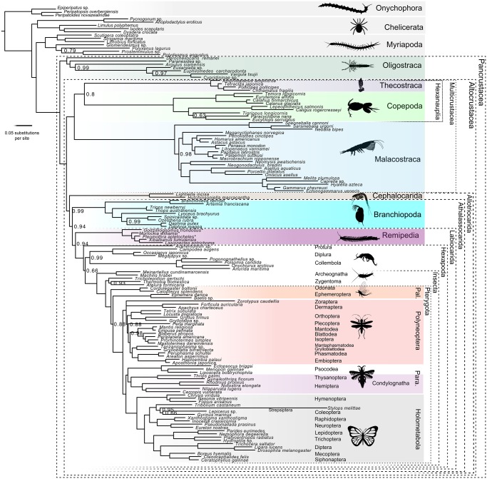 Fig. 2.