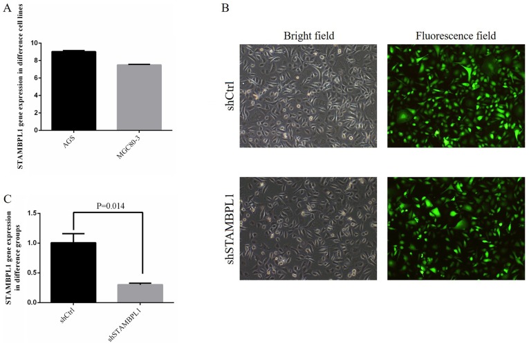 Figure 2.