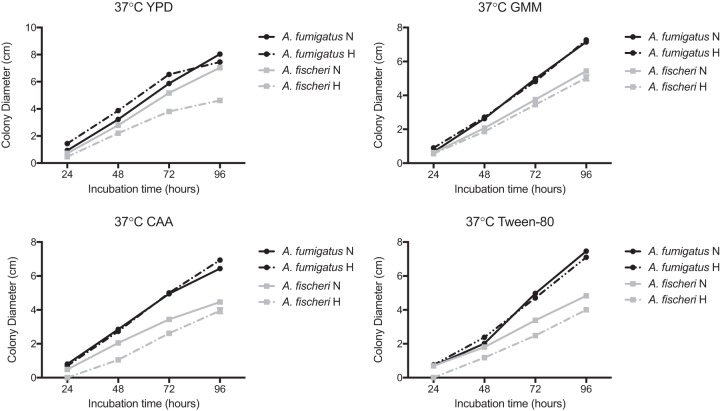 FIG 2