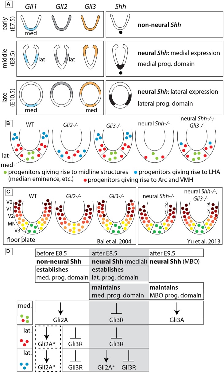 FIGURE 11