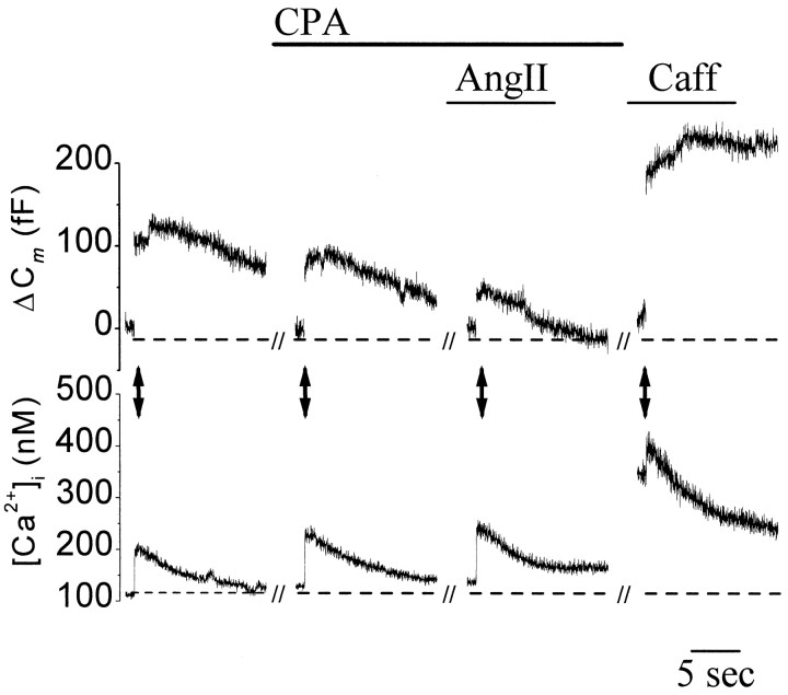 Fig. 6.