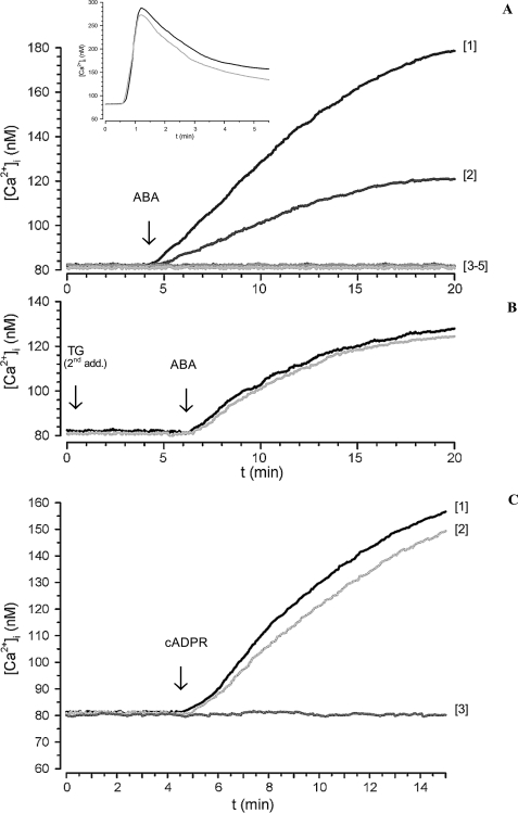 FIGURE 1.