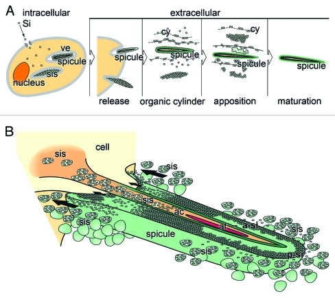 Figure 1.