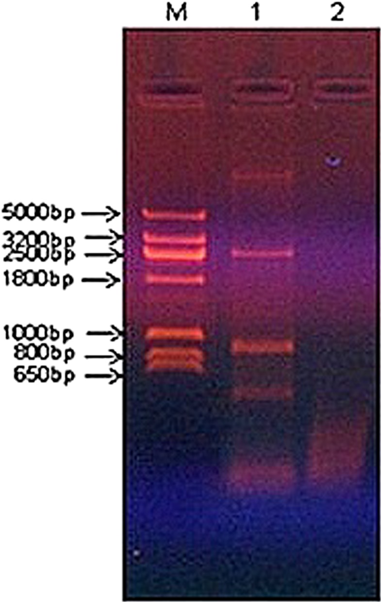 Fig. 10