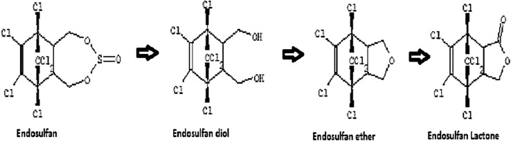 Fig. 11