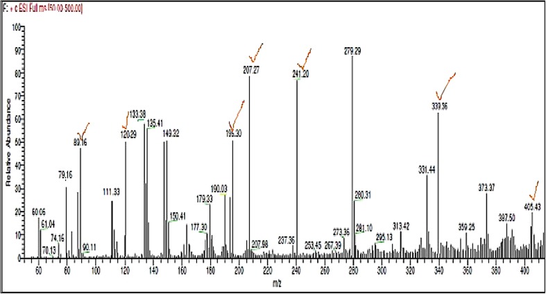 Fig. 5