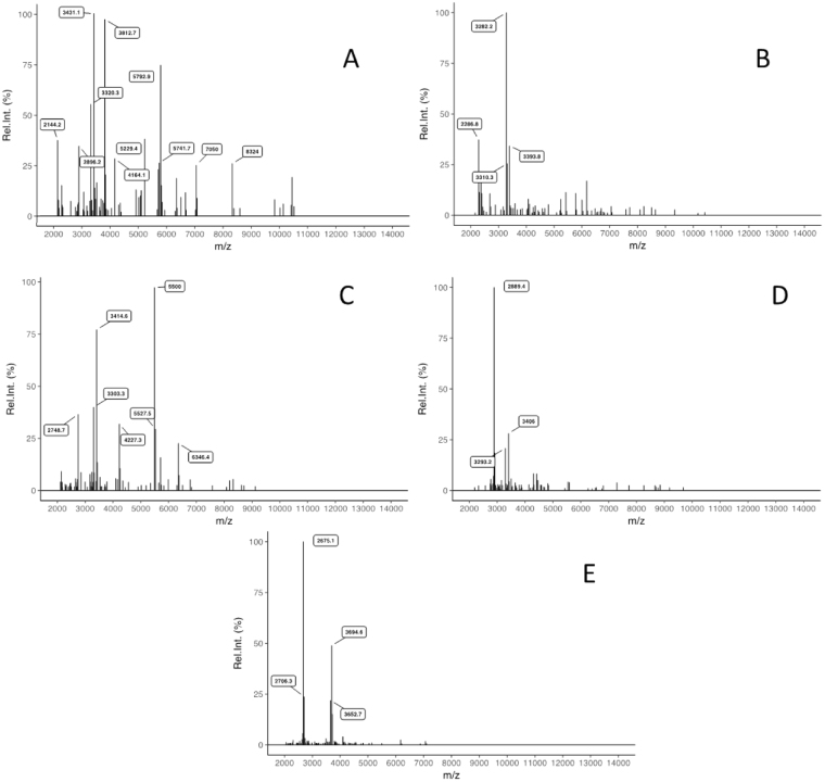 Figure 5