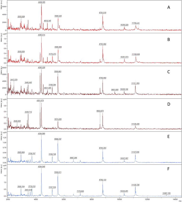 Figure 10