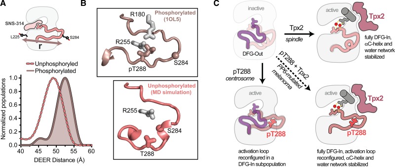 Figure 4.