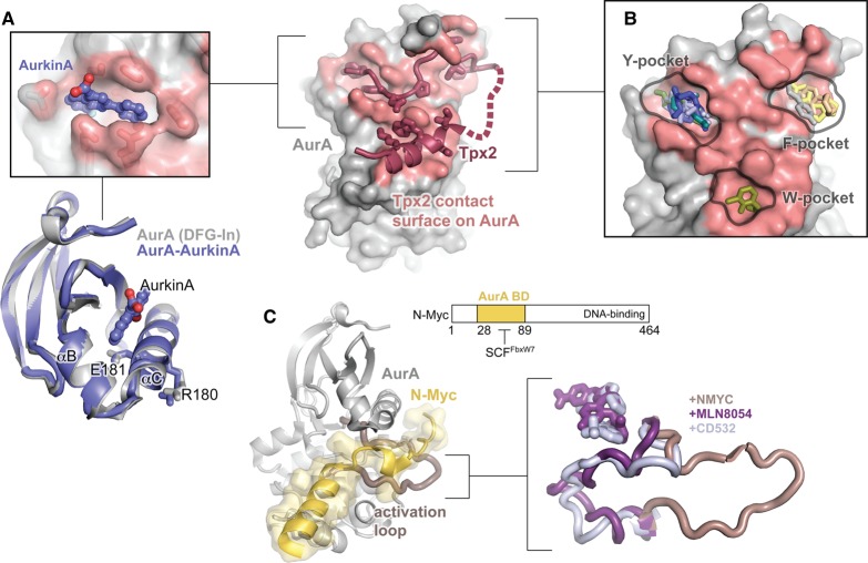 Figure 6.