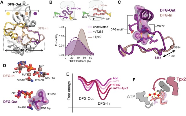 Figure 3.