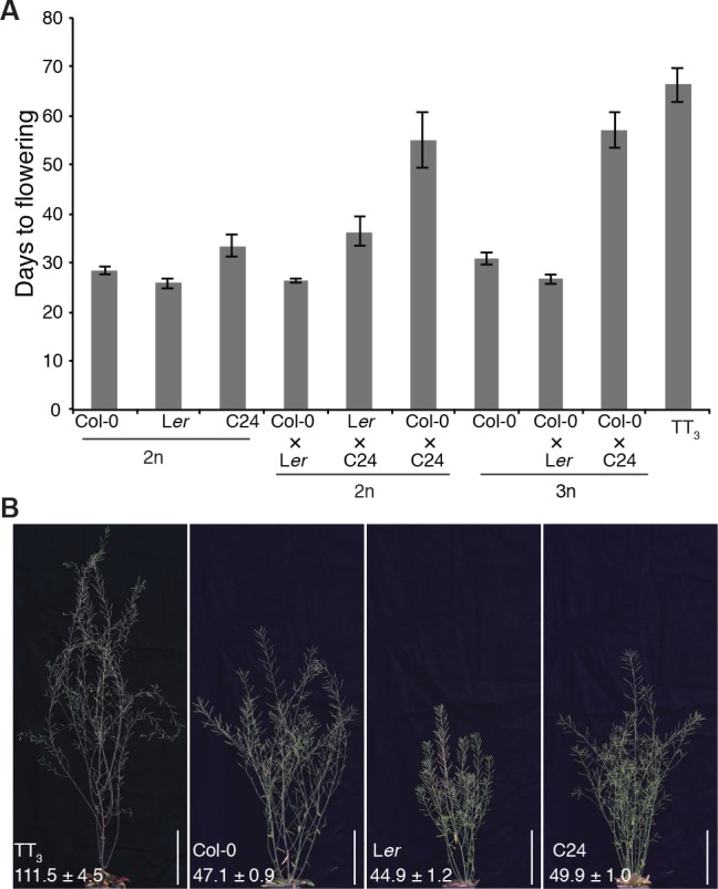 Figure 4—figure supplement 4.