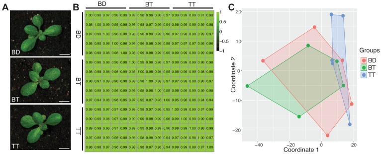 Figure 4—figure supplement 1.