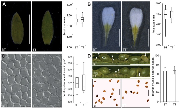 Figure 4—figure supplement 2.