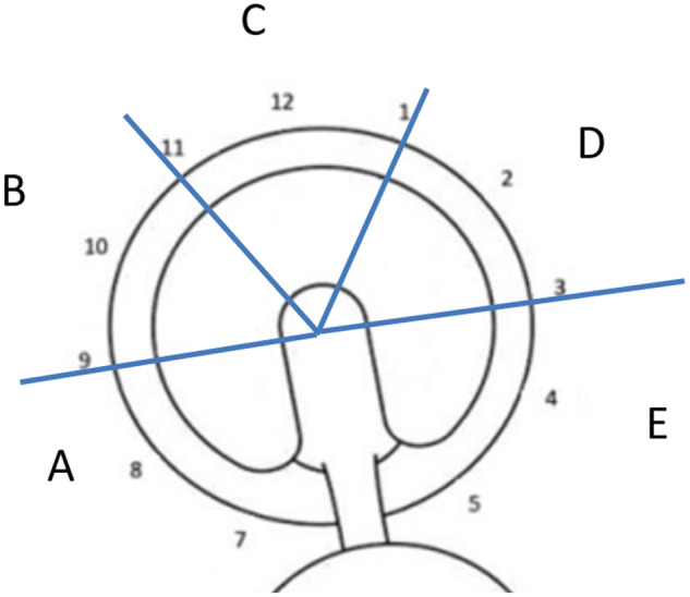 Fig. 1.